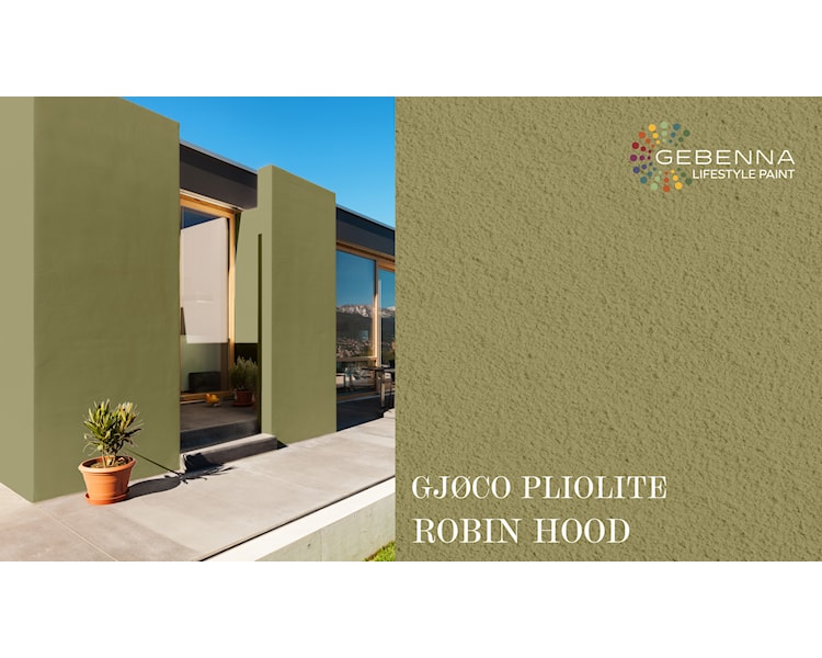 PLIOLITE FARVEKORT ROBIN HOOD